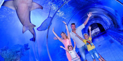 Hurghada Grand Aquarium, Entry Ticket and Tour