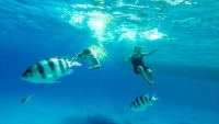 Hurghada Orangebay snorkeling trip